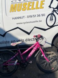 Celine 20 pouces