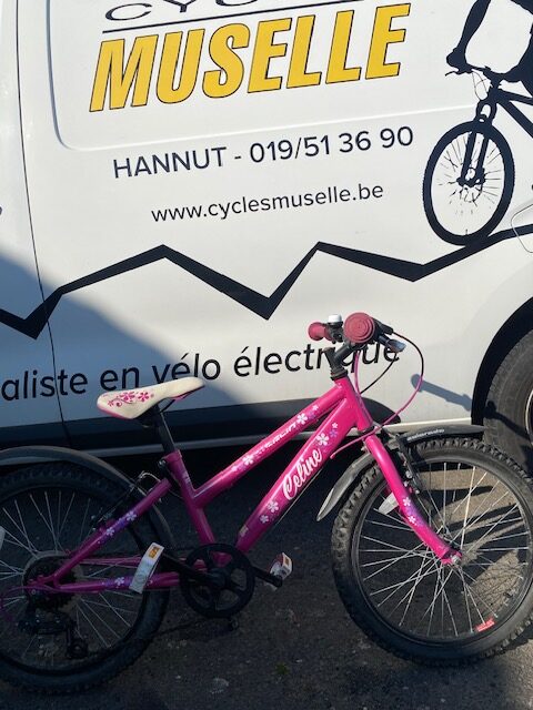 Celine 20 pouces