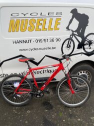 Diamond RedHorse 51cm