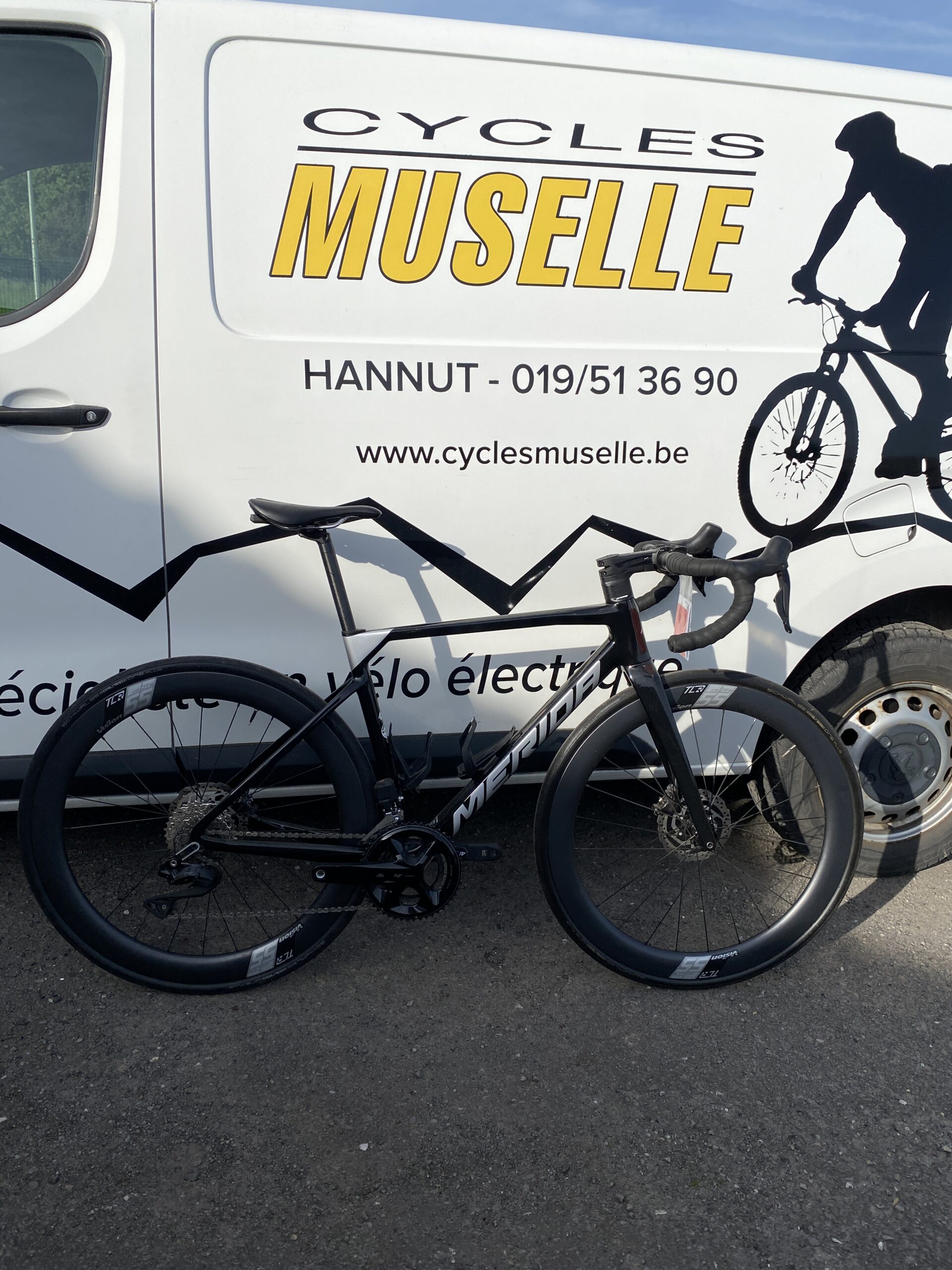 Ridley – Small